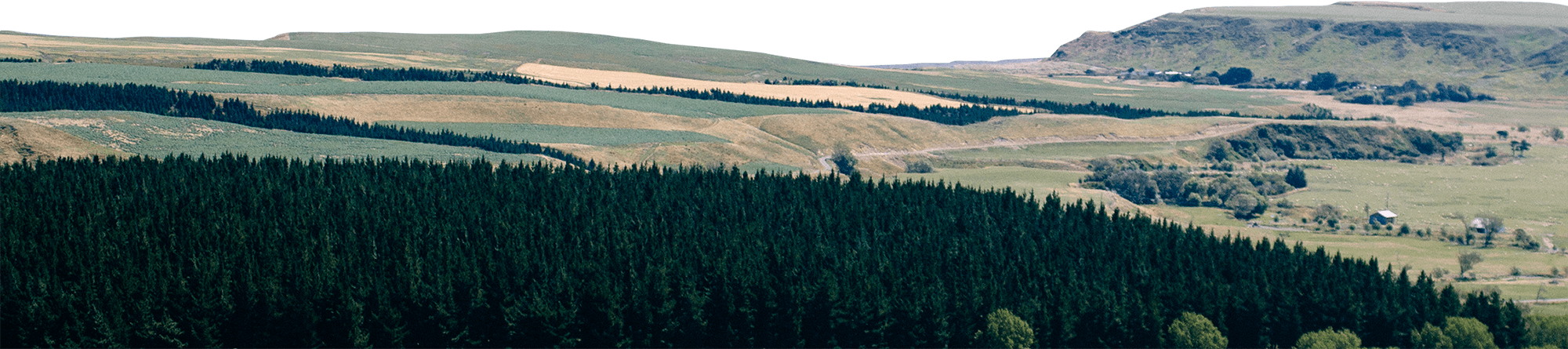 Panaramic view of New Zealand farm and hills landscape.
